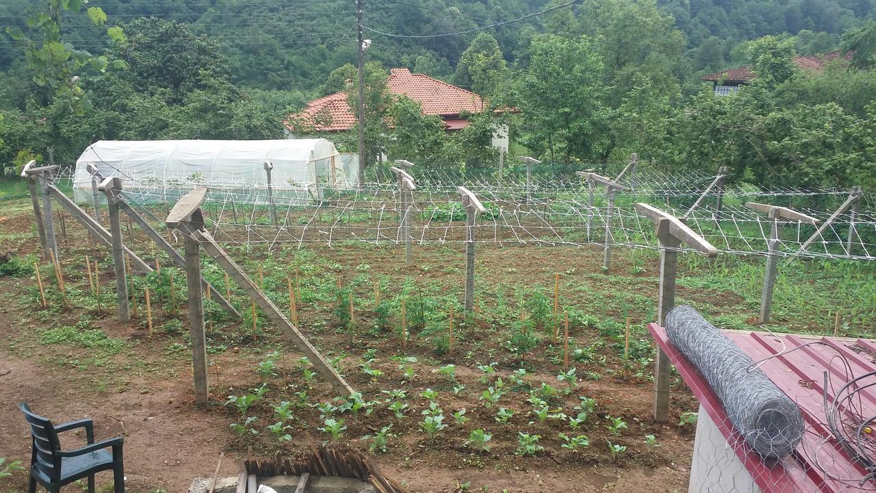 Villa Inceler Konagi Findikli  Exterior foto